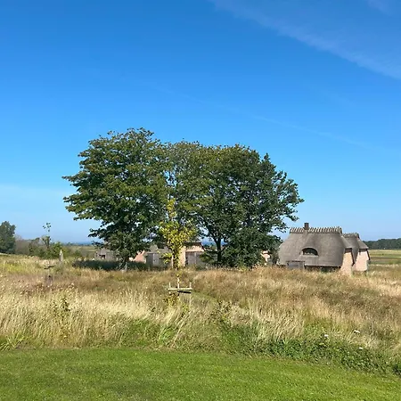 Reetdorf Geltinger Birk Malerhaus Eichenwald Nieby (Nieby, Schleswig-Flensburg)