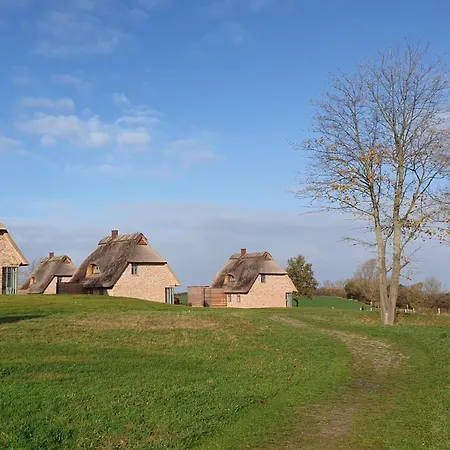 Reetdorf Geltinger Birk Malerhaus Eichenwald Holiday home